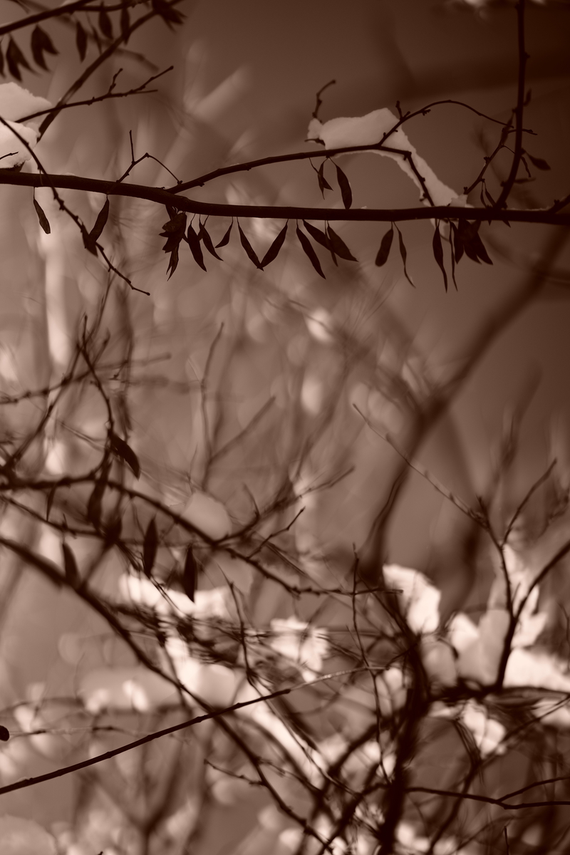 AWAY print, view 1 of 3