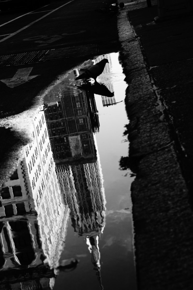 EMPIRE STATE OF MIND view 1