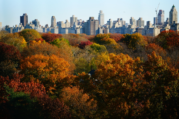 NEW YORK LEFT TO RIGHT