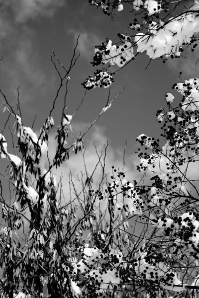 QUIET LIGHT