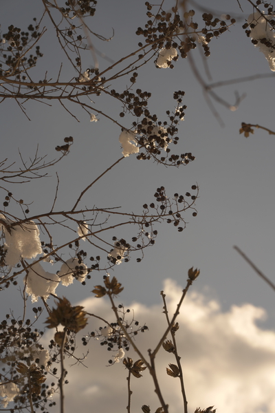 STILLNESS