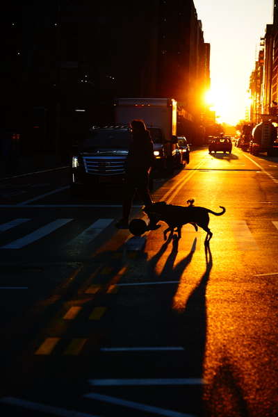 SUN DOG