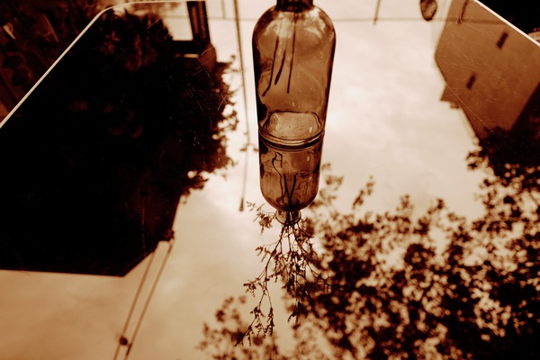 THE VASE