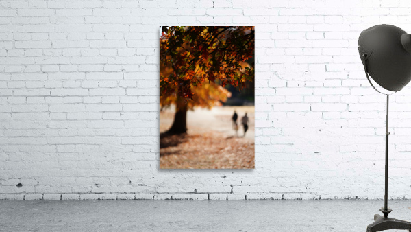 CENTRAL PARK FADE print, view 3 of 3