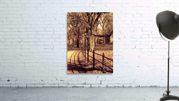 CENTRAL PARK print, view 3 of 3