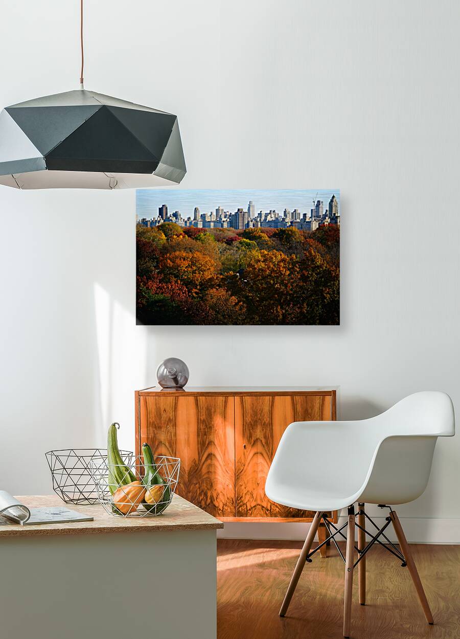 NEW YORK LEFT TO RIGHT view 2