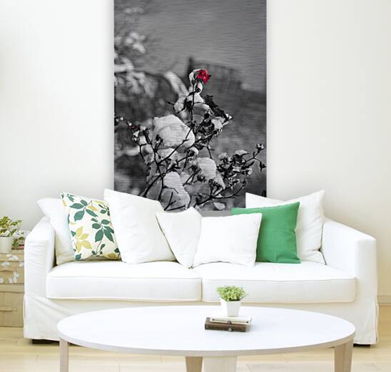 WINTER ROSE print, view 2 of 3